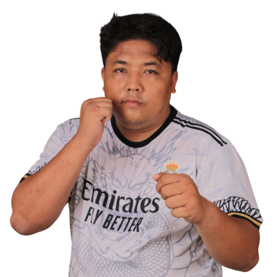 MOHD AMIR