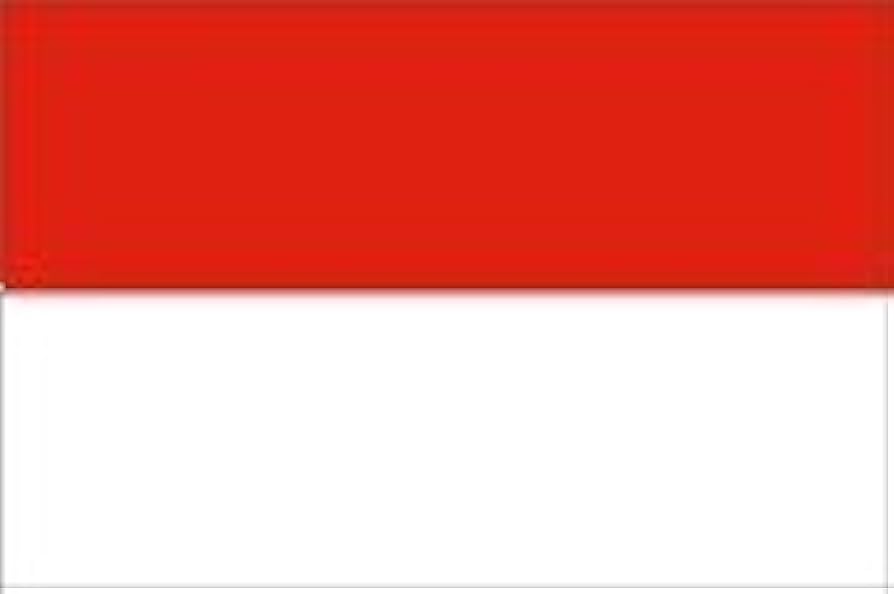 indonesia flag